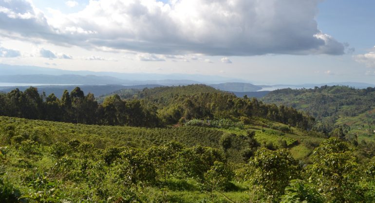 Nyungwe Forest National Park, Rwanda