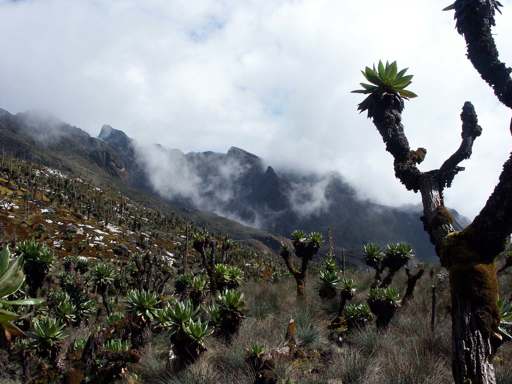 Mountain Climbing in Uganda