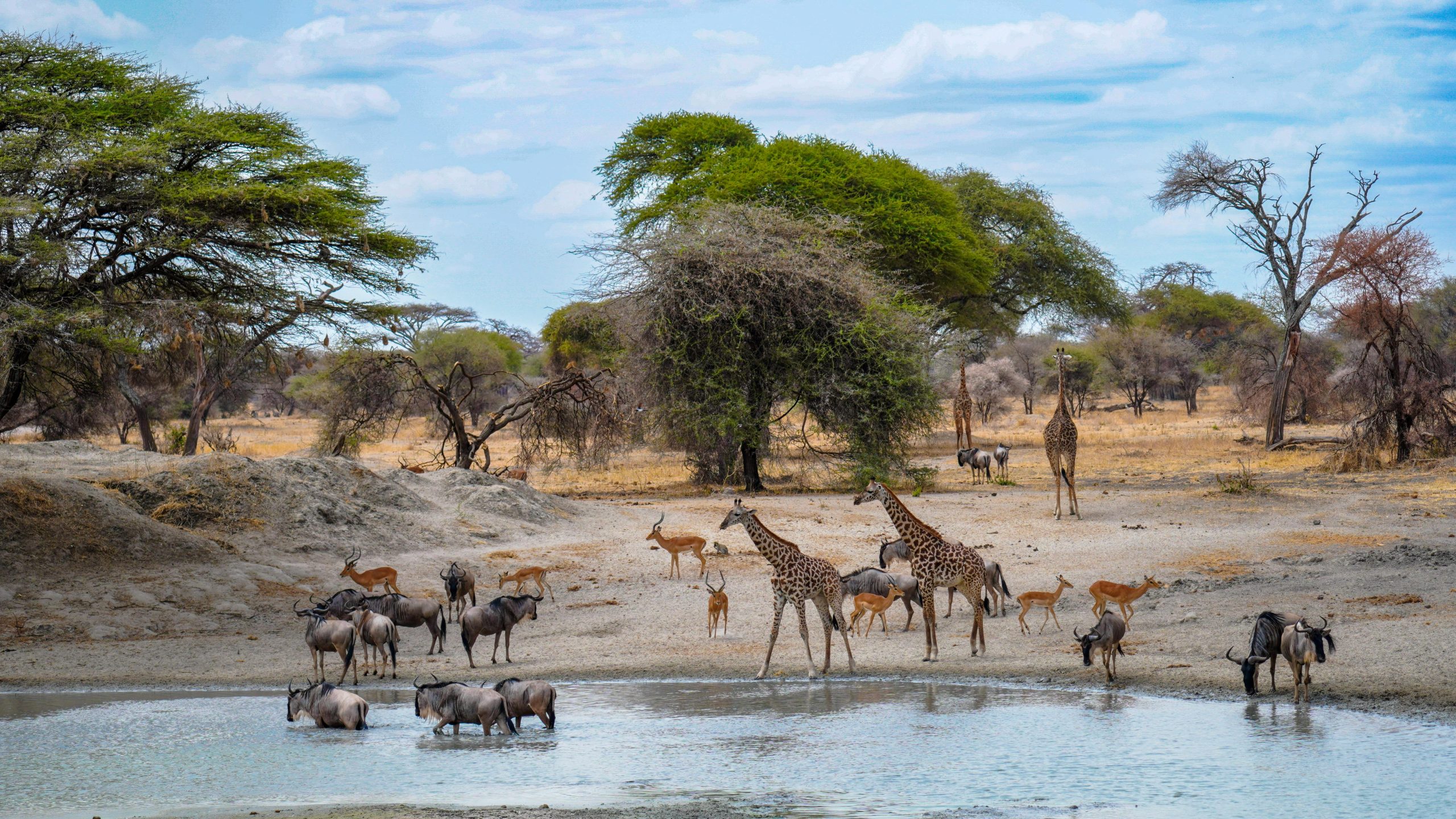 Flying Safaris Tanzania