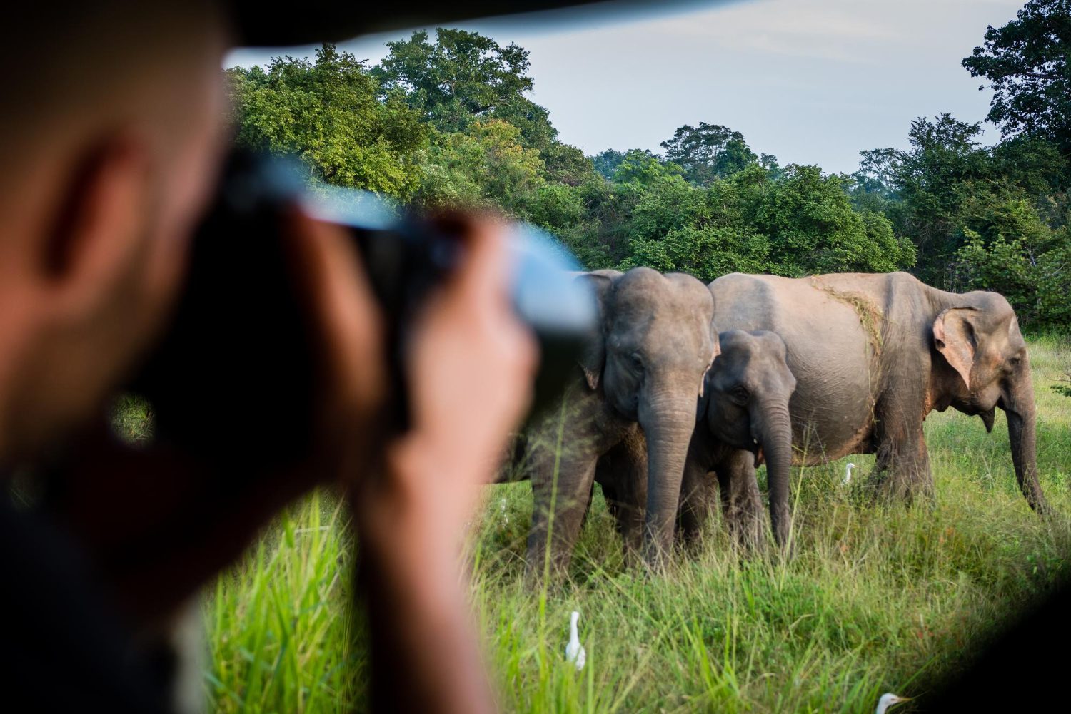 Photography Safaris in Kenya