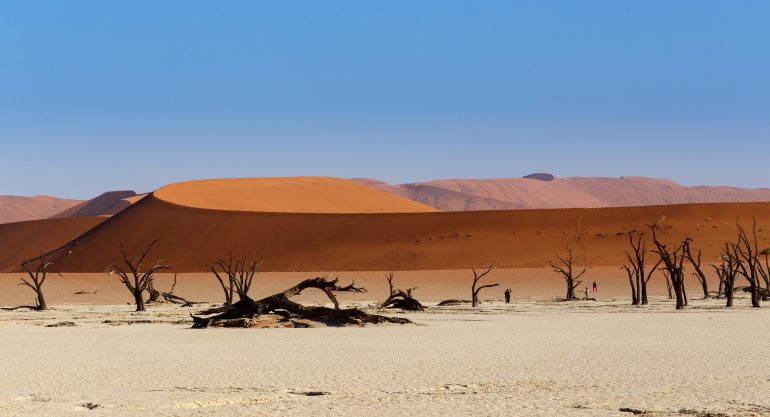 15 Days Namibia Safari Tour