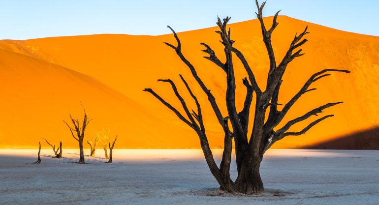 10 Days Safari in Namibia