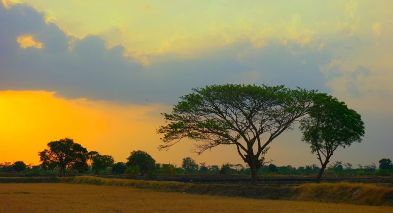 8 Days Romantic Getaway Safari Uganda